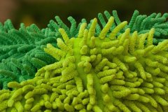 雪纺轻薄连衣裙面料